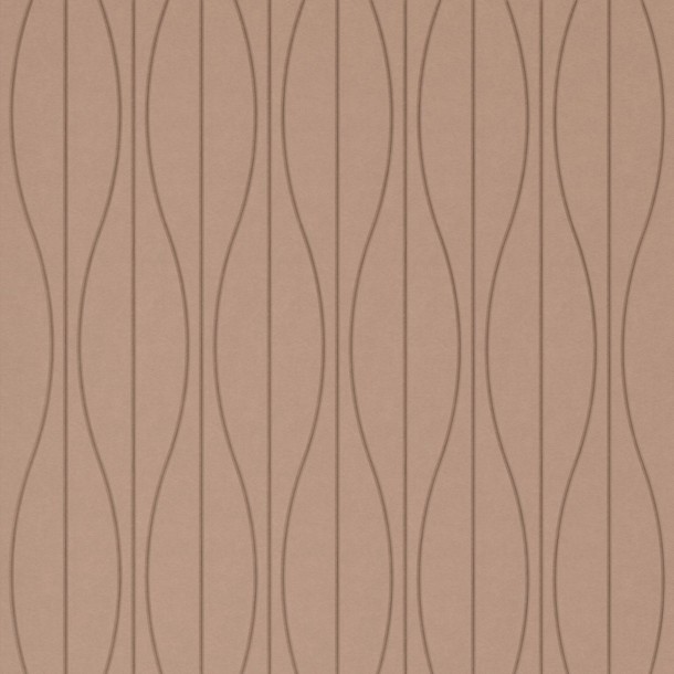 Rhythm Oyster Rhythm Oyster